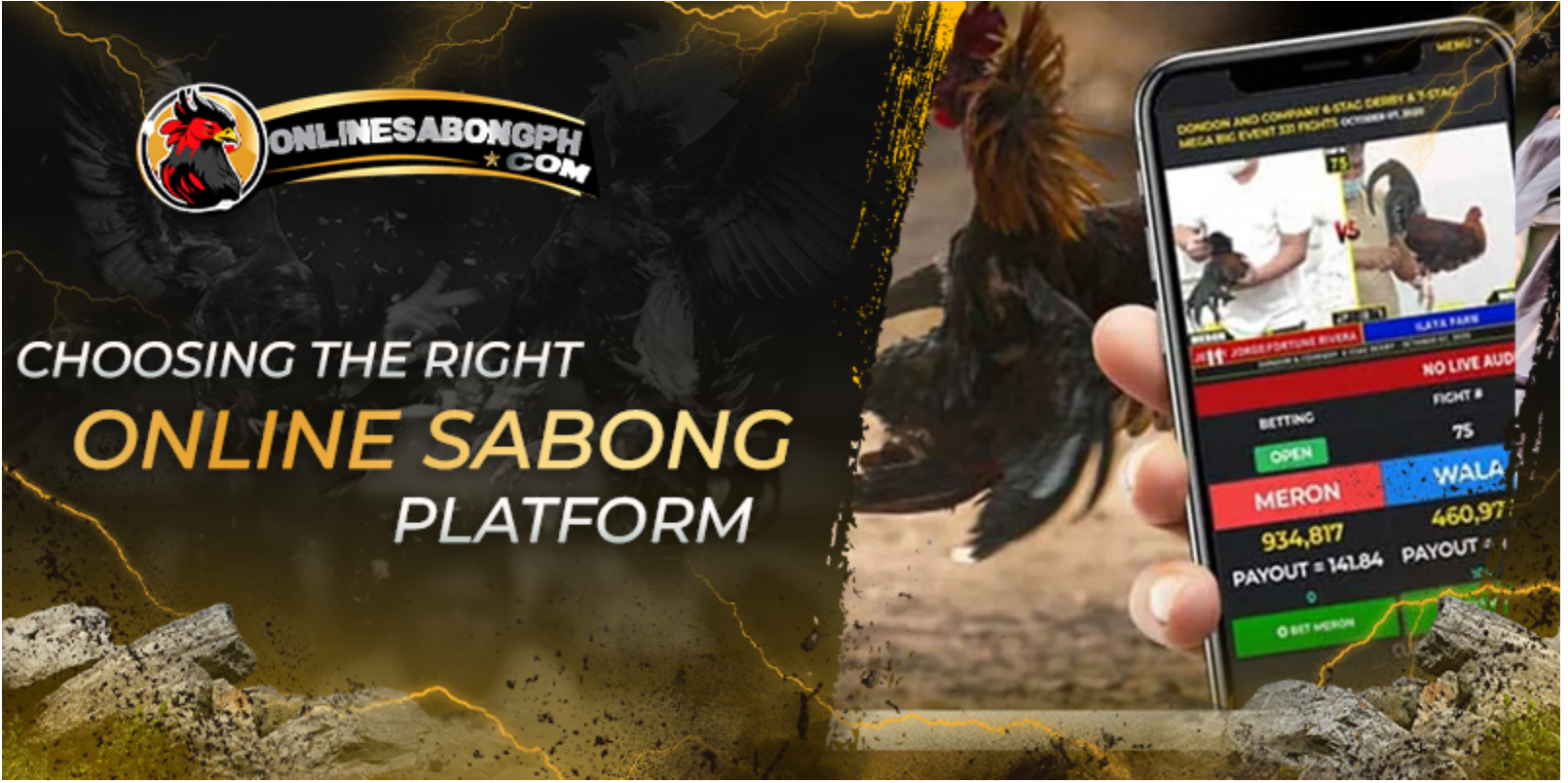 Sabong Stats Tips