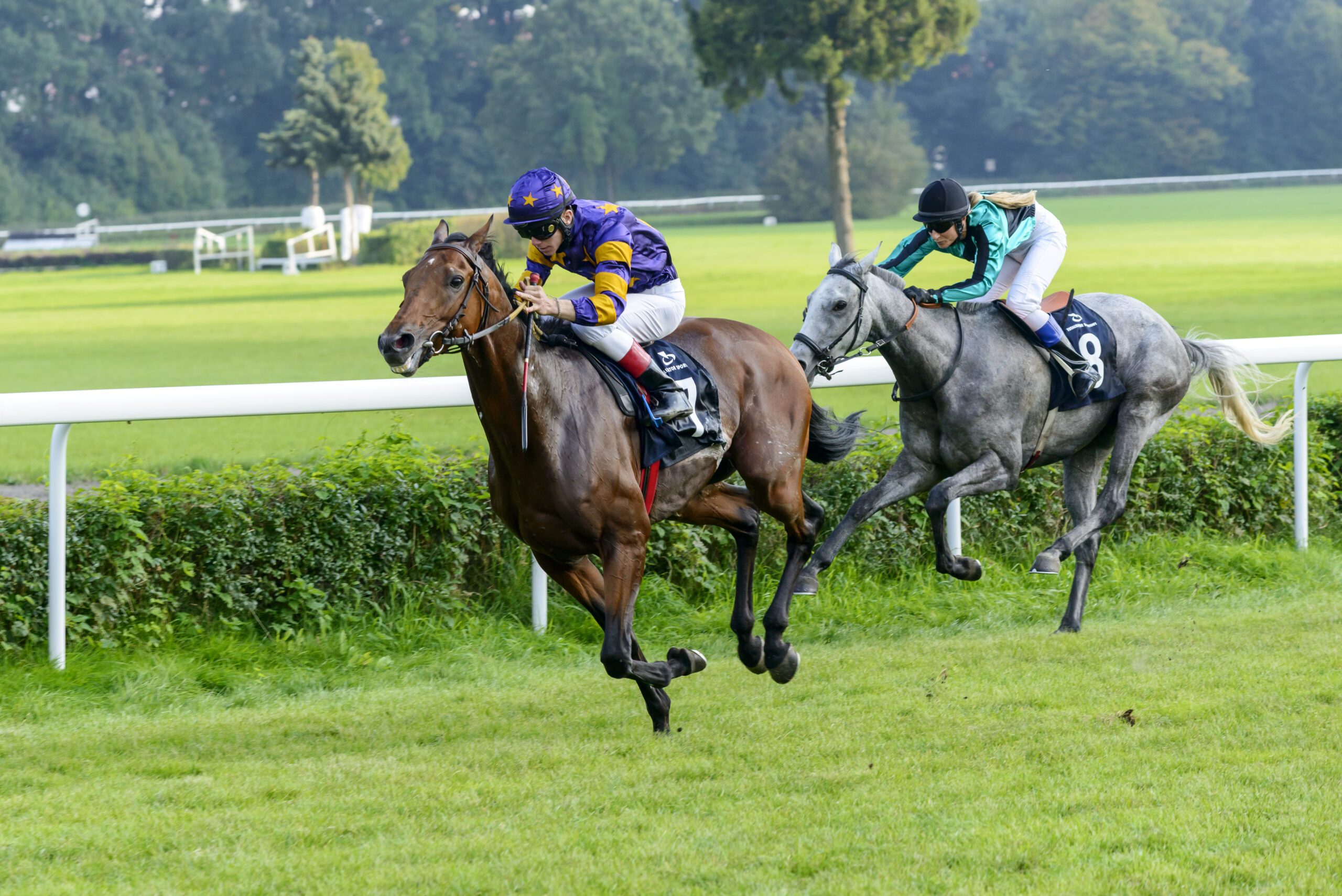 Horse Race in UK