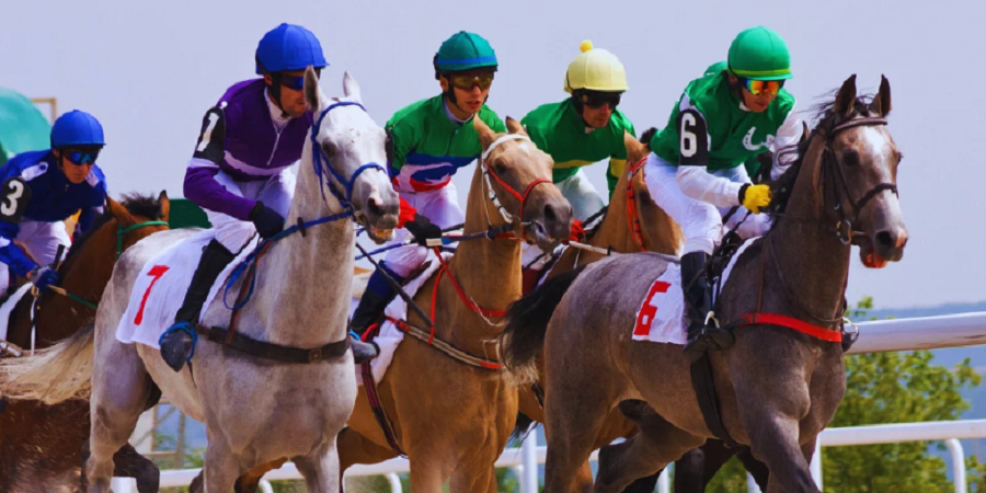 Horse Racing Industry in the UK